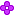 丸花（紫）